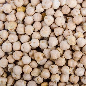chickpea-316593__340