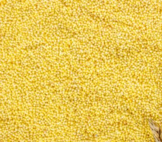 Yellow Millet ( HSN: 10082120 )